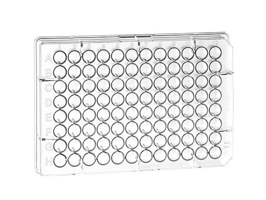 Microplates For High Throughput Screening Hts Shop Gbo Com